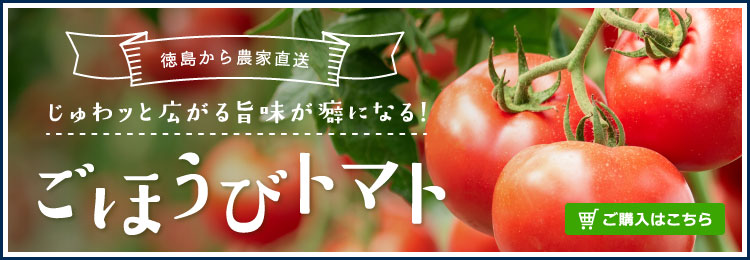 おすすめレシピ｜完熟高糖度のトマト「ごほうび」の通販なら【冨田農園】