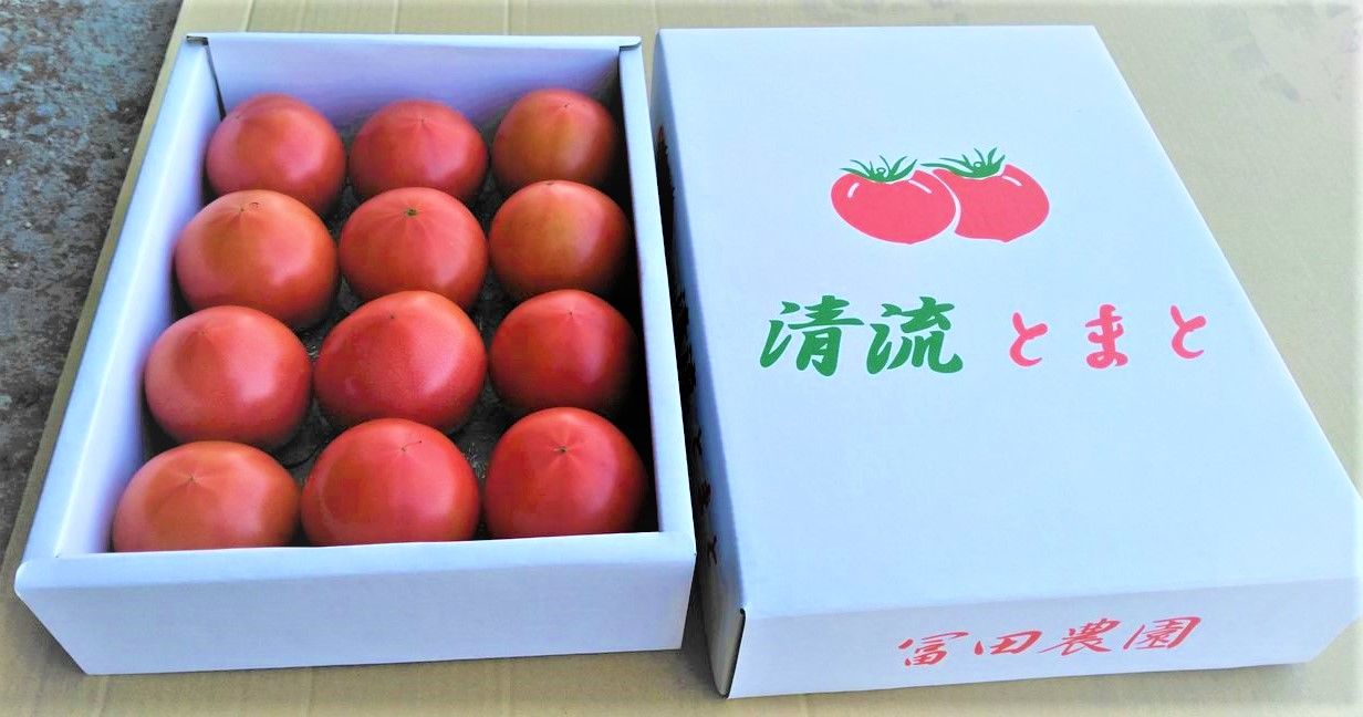 期間限定お値引き価格】完熟高糖度の王様トマト「ごほうび」２㎏【冨田 